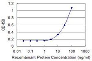 Detection limit for recombinant GST tagged TWIST1 is 1 ng/ml as a capture antibody. (TWIST1 抗体  (AA 106-174))