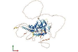 Protein Structure (PS) image for OTU Domain Containing 7B (OTUD7B) (AA 1-843) protein (His tag) (ABIN7554863)