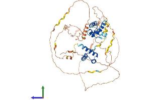 Protein Structure (PS) image for POU Class 3 Homeobox 3 (POU3F3) (AA 1-500) protein (His tag) (ABIN7550791)