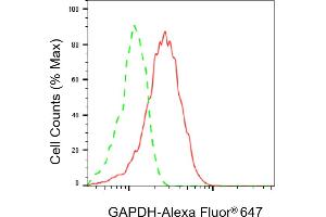 Flow cytometric analysis of GAPDH expression in HepG2 cells using GAPDH antibody (ABIN7798764), 1:2,000).
