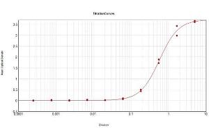 ELISA Results of Rabbit Anti-Dextranase Antibody Biotin Conjugated tested against purified Dextranase protein. (Dextranase 抗体  (Biotin))