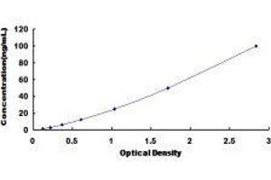 Histone Deacetylase 4 (HDAC4) ELISA Kit