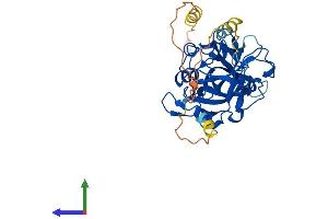 Protein Structure (PS) image for Chromosome 3 Open Reading Frame 37 (C3ORF37) (AA 1-353) protein (His tag) (ABIN7559674)