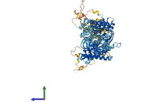 Protein Structure (PS) image for Adenylate Cyclase 4 (ADCY4) (AA 1-1077) protein (His tag) (ABIN7564798)