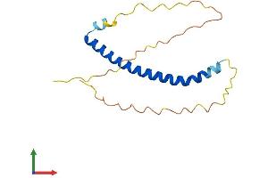 Protein Structure (PS) image for Nucleosome Assembly Protein 1-Like 5 (NAP1L5) (AA 1-156) protein (His tag) (ABIN7561585)