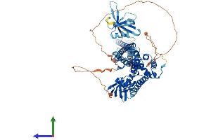 Protein Structure (PS) image for rho GTPase Activating Protein 10 (ARHGAP10) (AA 1-786) protein (His tag) (ABIN7564156)