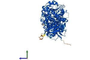 Protein Structure (PS) image for Glucosamine (UDP-N-Acetyl)-2-Epimerase/N-Acetylmannosamine Kinase (GNE) (AA 1-722) protein (His tag) (ABIN7554014)