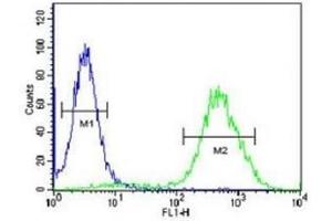 CCR1 antibody flow cytometric analysis of 293 cells (right histogram) compared to a negative control (left histogram). (CCR1 抗体  (AA 1-30))