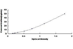Macrophage Migration Inhibitory Factor (Glycosylation-Inhibiting Factor) (MIF) ELISA Kit