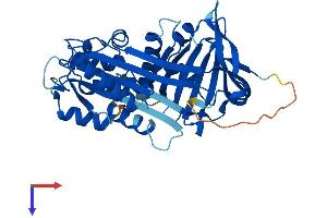 SERPINB6 Protein (AA 1-378) (His tag)