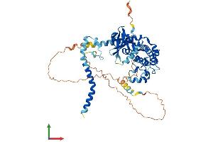 AlphaFold protein structure predicition of Mouse Recombinant Stk3 Protein, UniprotID Q9JI10 (STK3 Protein (AA 1-497) (His tag))