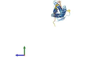 Protein Structure (PS) image for Claudin 9 (CLDN9) (AA 1-217) protein (His tag) (ABIN7546560)
