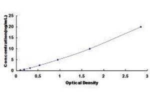 Histone Deacetylase 4 (HDAC4) ELISA Kit