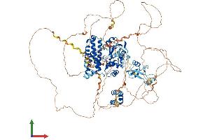 Protein Structure (PS) image for Cbl Proto-Oncogene B, E3 Ubiquitin Protein Ligase (CBLB) (AA 1-982) protein (His tag) (ABIN7563677)