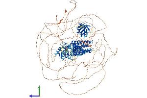 Protein Structure (PS) image for FYVE, RhoGEF and PH Domain Containing 5 (FGD5) (AA 1-1462) protein (His tag) (ABIN7553910)