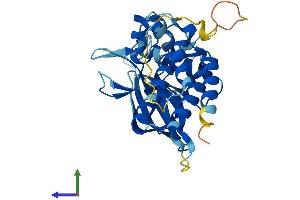 Protein Structure (PS) image for PDLIM1 Interacting Kinase 1 Like (PDIK1L) (AA 1-341) protein (His tag) (ABIN7559595)