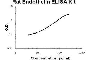 Rat Endothelin PicoKine ELISA Kit standard curve
