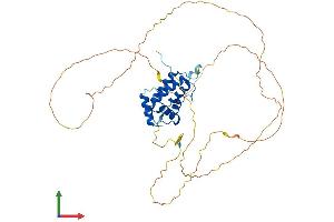 AlphaFold protein structure predicition of Human Recombinant PPP4R2 Protein, UniprotID Q9NY27