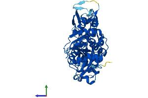 Protein Structure (PS) image for Actin-Related Protein 2 (ACTR2) (AA 1-394) protein (His tag) (ABIN7552305)