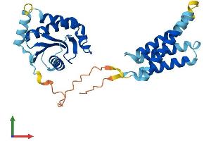 Protein Structure (PS) image for SEC22 Vesicle Trafficking Protein Homolog C (SEC22C) (AA 1-303) protein (His tag) (ABIN7551692)