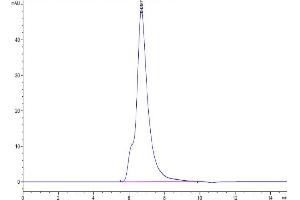 The purity of Biotinylated Human IL-2 R gamma is greater than 95 % as determined by SEC-HPLC. (IL2RG Protein (AA 23-254) (His-Avi Tag,Biotin))