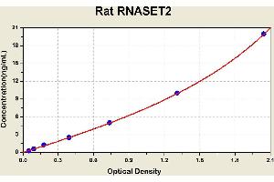 Diagramm of the ELISA kit to detect Rat RNASET2with the optical density on the x-axis and the concentration on the y-axis. (RNASET2 ELISA 试剂盒)