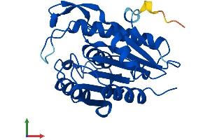 Protein Structure (PS) image for Lysophospholipase II (LYPLA2) (AA 1-231) protein (His tag) (ABIN7556239)