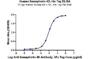 Immobilized Human Semaphorin 4D, His Tag at 1 μg/mL (100 μL/well) on the plate.