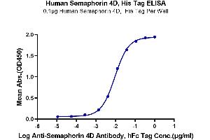 Immobilized Human Semaphorin 4D, His Tag at 1 μg/mL (100 μL/well) on the plate. (SEMA4D/CD100 Protein (His-Avi Tag))
