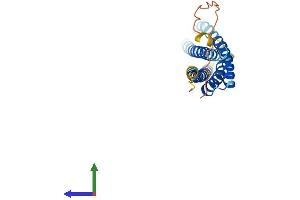 AlphaFold protein structure predicition of Mouse Recombinant Ms4a3 Protein, UniprotID Q920C4