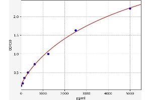 Neural Cell Adhesion Molecule 1 (NCAM1) ELISA Kit