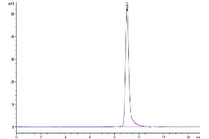 The purity of Biotinylated Human CD38 is greater than 95 % as determined by SEC-HPLC.