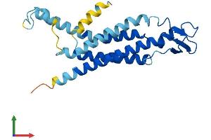 Protein Structure (PS) image for Gap Junction Protein, beta 2, 26kDa (GJB2) (AA 1-226) protein (His tag) (ABIN7546927)