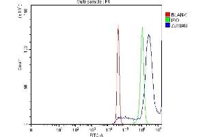 Flow Cytometry analysis of SiHa cells using anti-ZBTB48 antibody (ABIN7599504).