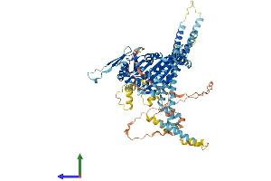 Protein Structure (PS) image for Kinesin Family Member 9 (KIF9) (AA 1-790) protein (His tag) (ABIN7548815)
