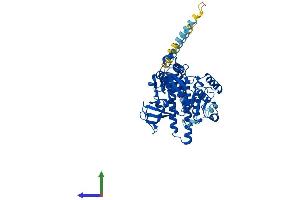 Protein Structure (PS) image for Fucosyltransferase 8 (Alpha (1,6) Fucosyltransferase) (FUT8) (AA 1-575) protein (His tag) (ABIN7556247)