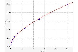 Typical standard curve (Angiomotin ELISA 试剂盒)