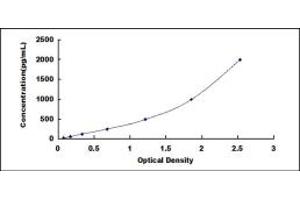 Typical standard curve (Anillin ELISA 试剂盒)