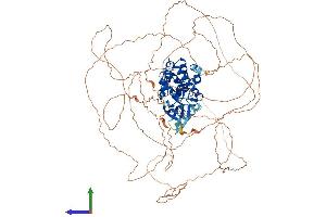 Protein Structure (PS) image for Cyclin-Dependent Kinase-Like 5 (CDKL5) (AA 1-938) protein (His tag) (ABIN7557283)
