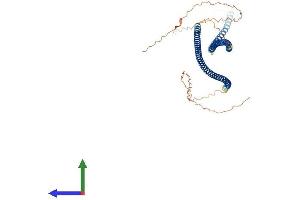 Protein Structure (PS) image for Keratin 83 (KRT83) (AA 1-493) protein (His tag) (ABIN7548997)