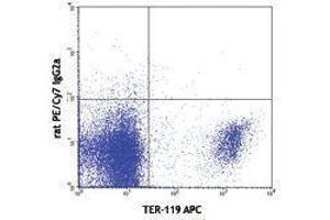 Flow Cytometry (FACS) image for anti-Transferrin Receptor (p90, CD71) (TFRC) antibody (PE-Cy7) (ABIN2659550) (Transferrin Receptor 抗体  (PE-Cy7))