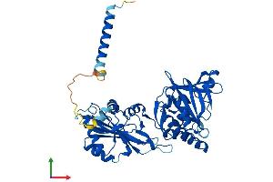 Protein Structure (PS) image for Fukutin (FKTN) (AA 1-461) protein (His tag) (ABIN7559772)