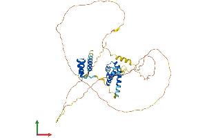 Protein Structure (PS) image for POU Domain, Class 4, Transcription Factor 2 (POU4F2) (AA 1-411) protein (His tag) (ABIN7557801)
