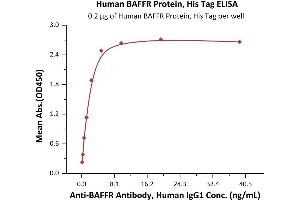 Immobilized Human BAFFR Protein, His Tag (ABIN6972953) at 2 μg/mL (100 μL/well) can bind A Antibody, Human IgG1 with a linear range of 0.