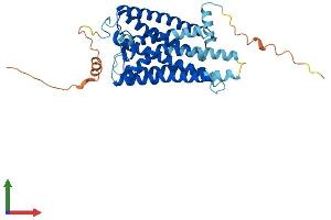 Protein Structure (PS) image for Opsin 1 (Cone Pigments), Medium-Wave-Sensitive (OPN1MW) (AA 1-364) protein (His tag) (ABIN7550445)