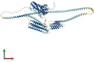 AlphaFold protein structure predicition of Human Recombinant HIP1 Protein, UniprotID O00291
