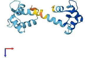CALML3 Protein (AA 1-149) (His tag)