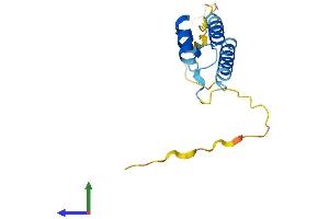 Protein Structure (PS) image for Protein Phosphatase 1, Regulatory (Inhibitor) Subunit 14D (PPP1R14D) (AA 1-145) protein (His tag) (ABIN7550845)