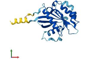 Protein Structure (PS) image for ADP-Ribosylation Factor Related Protein 1 (ARFRP1) (AA 1-201) protein (His tag) (ABIN7559001)