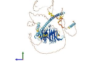 Protein Structure (PS) image for Striatin, Calmodulin Binding Protein 3 (STRN3) (AA 1-797) protein (His tag) (ABIN7546377)